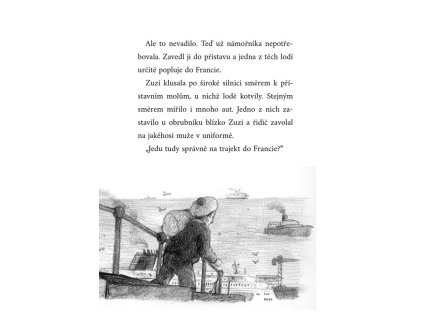 O ztracené kočičce