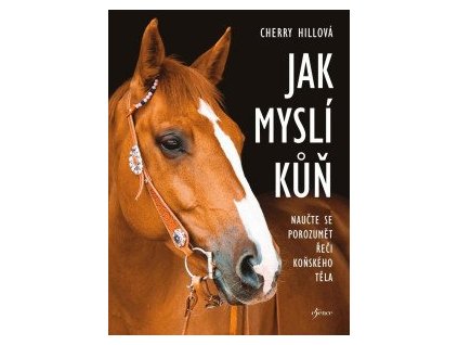 Jak myslí kůň
