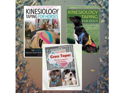 Návrh bez názvu (4)