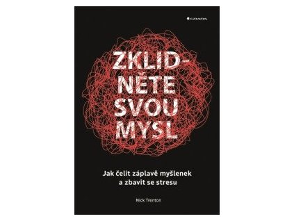Zklidněte svou mysl - Jak čelit záplavě myšlenek a zbavit se stresu