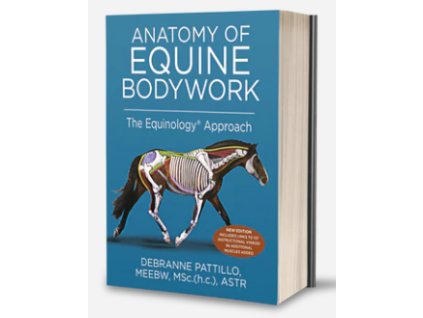 Snímek obrazovky 2025 11 10 145908