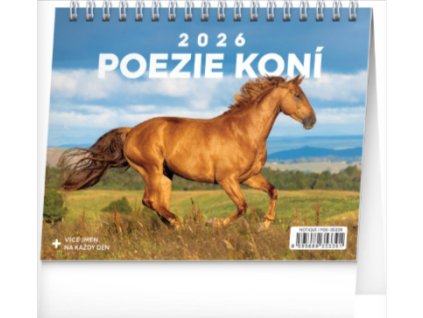 Snímek obrazovky 2025 12 18 183744