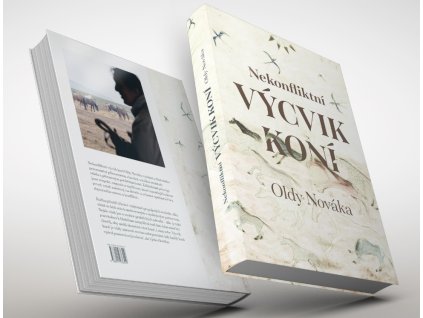 Snímek obrazovky 2025 12 21 163122