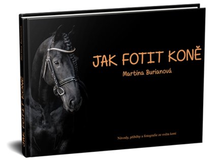 Snímek obrazovky 2026 01 06 203048