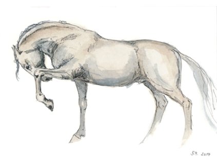 Obr. 4 – Bílý kůň A4 (Rozměr A4)