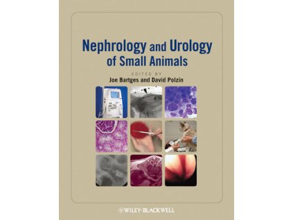Nephrology and Urology of Small Animals