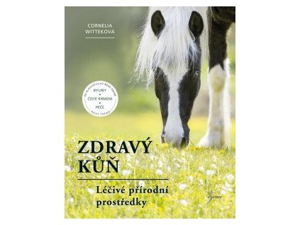 Zdravý kůň