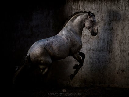Kanthaka 40 x 50 cm (Rozměr 100 x 145 cm)