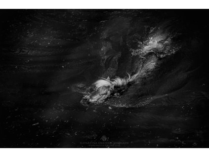 Mermaid's dream 30 x 45 cm (Rozměr 100 x 150 cm)