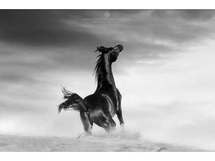 Desert Spirit 40 x 60 cm (Rozměr 100 x 150 cm)
