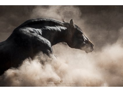 Sandstorm 60 x 90 cm (Rozměr 60 x 90 cm)