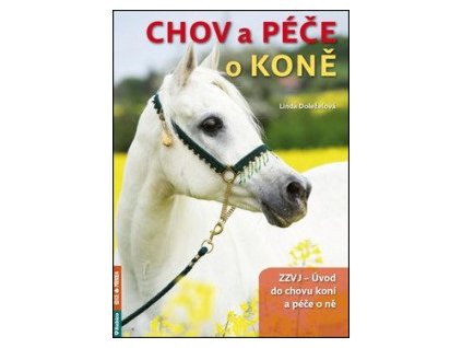 Chov a péče o koně