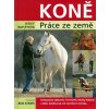 Koně práce ze země
