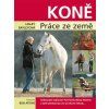 Koně - práce ze země