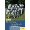 676 umeni jizdy se sprezenim max pape