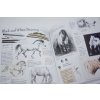 Smoky Joe's Book od Drawing Ponies 3