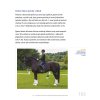 core conditioning for horses interior cz111