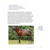 core conditioning for horses interior cz55
