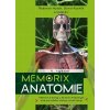 Memorix anatomie