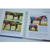 55 corrective exercises for horses 6 (2)