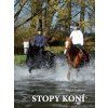 Stopy koní