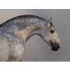Sectio Aurea 50 x 70 cm (Rozměr 100 x 145 cm)