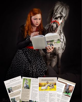 🐴 Trenérka Johana Spáčilová má za sebou roky práce s koňmi, filmové zkušenosti a hlavně stovky koní, kteří díky ní začali...