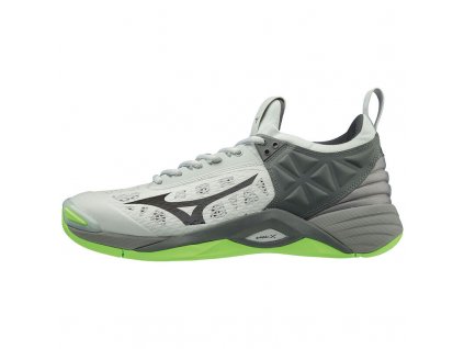 Boty Mizuno Wave Momentum V1GA191237