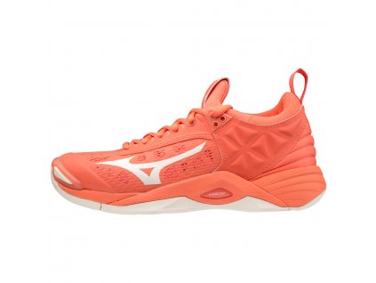 Boty Mizuno Wave Momentum V1GC191259