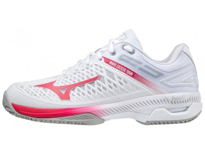 dámské tenisové boty Mizuno Wave Exceed Tour 4 CC 61GC207564 1