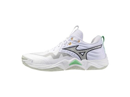 Boty Mizuno Wave Momentum Elite V1GA251221 1