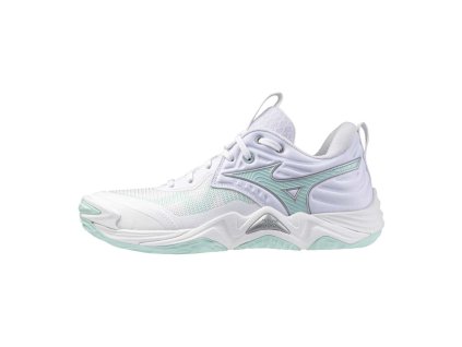 Boty Mizuno Wave Momentum Elite V1GC251245 1