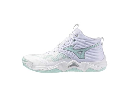 Boty Mizuno Wave Momentum Elite MID V1GC251745 1