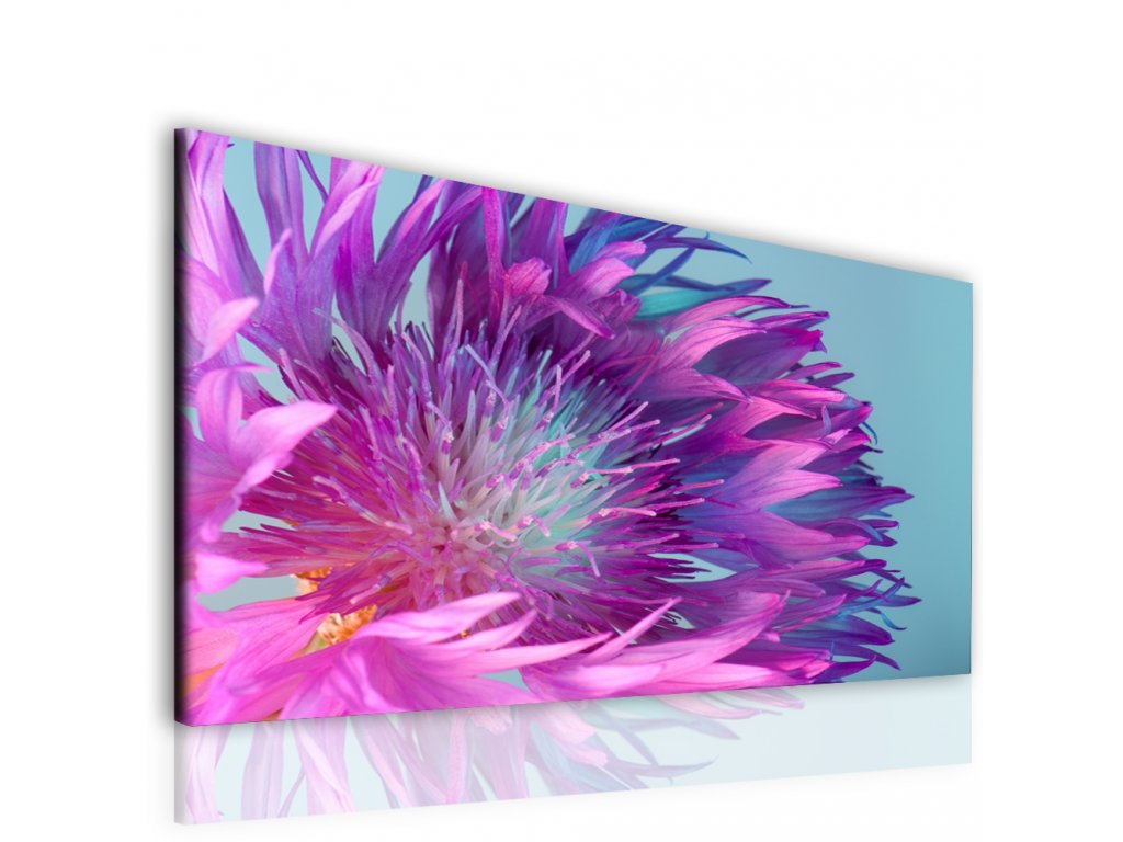 Obraz fialový květ
