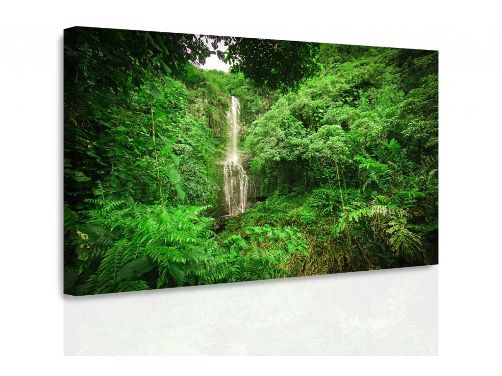 Obraz - Lesní vodopád