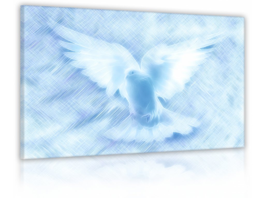 Obraz Nebeská holubice