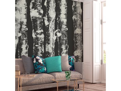 Samolepící fototapeta - Stately Birches - Second Variant