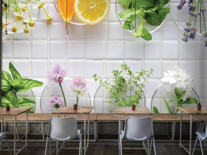 Čerstvé bylinky shutterstock 660040795 interier