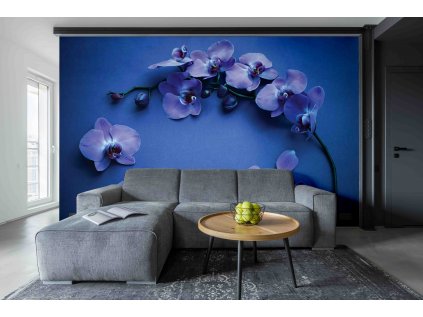 orchidej 3 shutterstock 1046891746 interiér