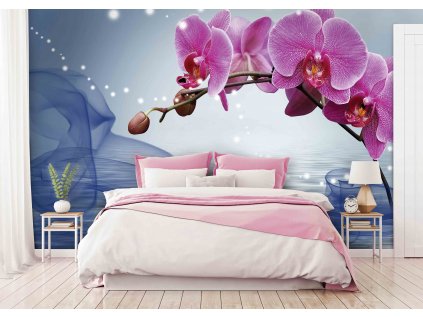 Orchidej 5 shutterstock 1127442233 interiér