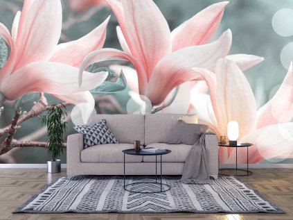 Magnolie 01 shutterstock 717777199 interier