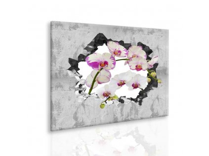 Obraz orchidej ve zdi II