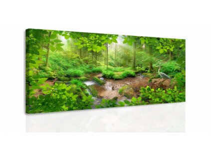 Obraz - Pohled do lesa