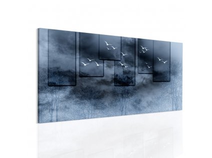 Obraz racci v černu