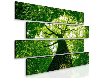 Obraz relax pod stromem