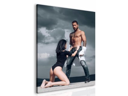 Obraz v zajetí touhy I