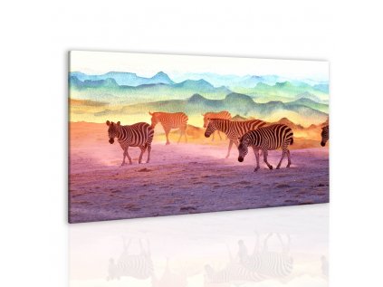 Obraz zebry v západu slunce