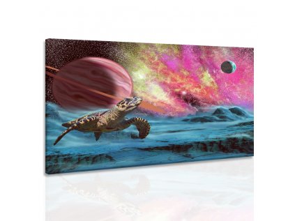 Obraz želva z vesmíru