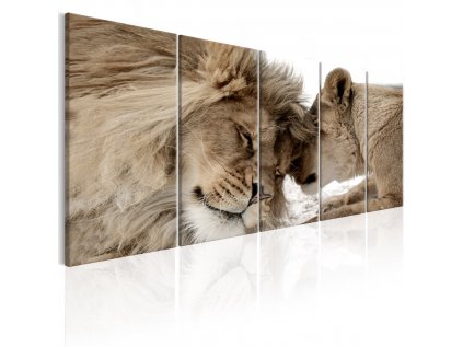 Vícedílné obrazy - lev a lvíče