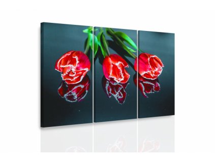 Vícedílný obraz - Tři tulipány